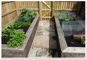 Raised Beds